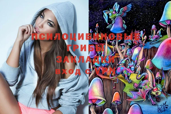 бошки Абдулино