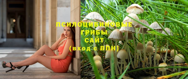 apvp Абаза