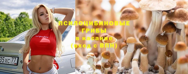 прущие крисы Абинск