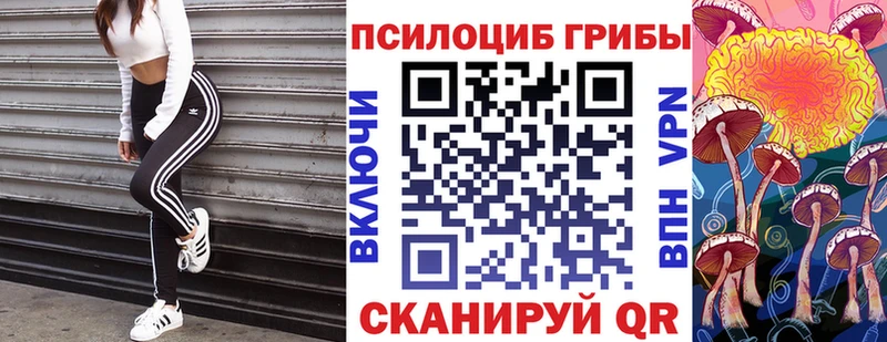 Галлюциногенные грибы мицелий Благовещенск