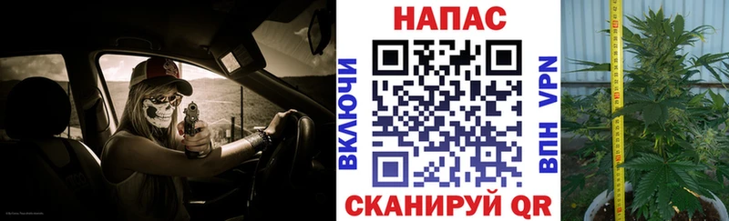 Шишки марихуана Amnesia  Благовещенск 